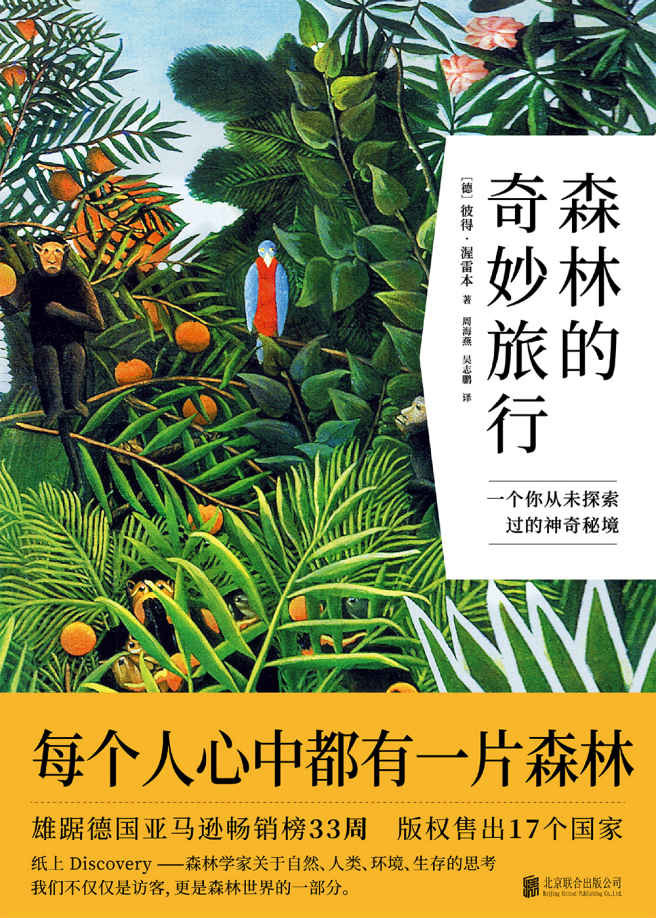 森林的奇妙旅行